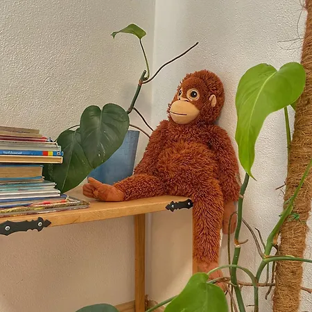 Zazi Toskansko V Nitre - Cely Dom Pri Ferrate *